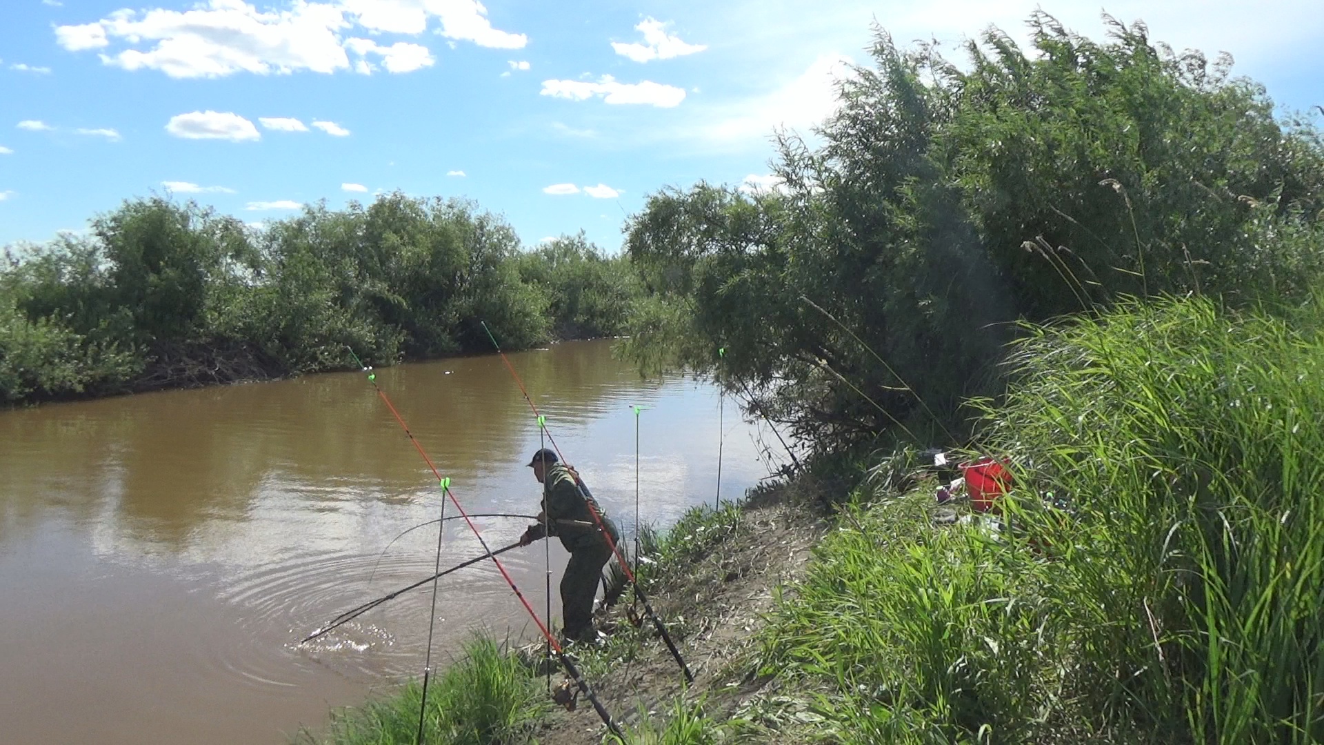 Ловля Карася на Кукурузу и Фидер. Рыбалка в Сибири смотреть онлайн