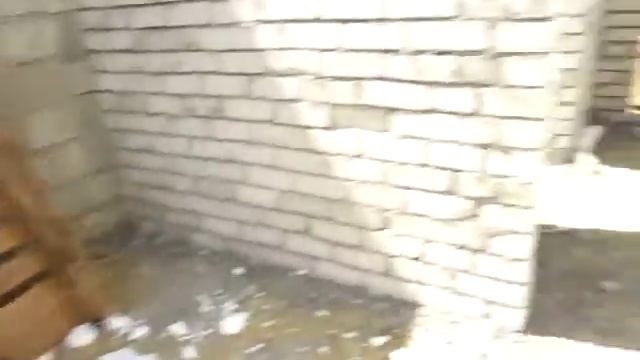 Шрамко 36 правая