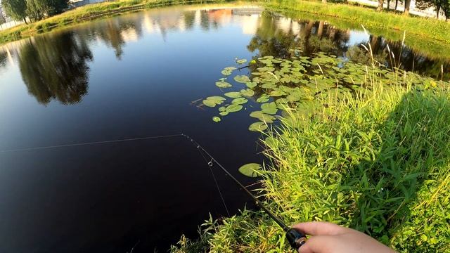 Рыбалка в Спб.Муринский ручей.Нано джиг. смотреть онлайн