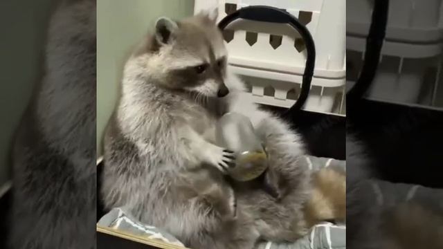 1687989127812.mp4 смотреть онлайн