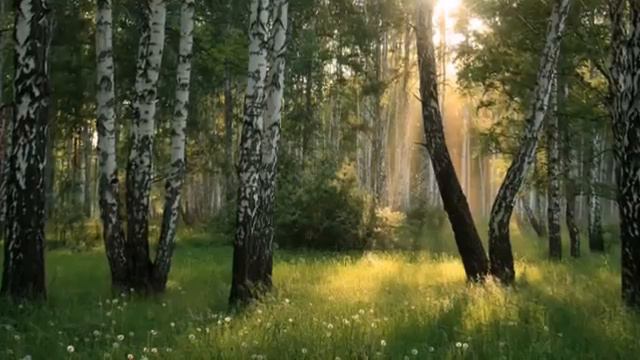 ГОДЫ,КАК ВАС ЗАДЕРЖАТЬ смотреть онлайн