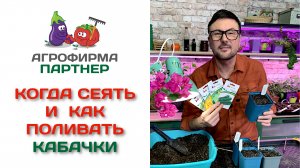 Когда сеять и как поливать кабачки