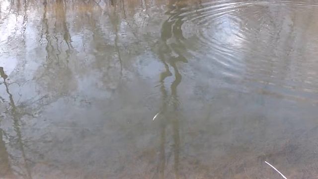 Воблер TsuYoki PARTNER 110SP игра и краткий обзор! Очень впечатляет отзывчивость и управляемость! смотреть онлайн