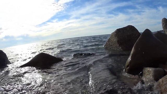Эконом-отдых на море/пляж Фламинго/дельфины и русалка/ужин по-домашнему смотреть онлайн