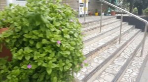 Станица Полтавская,  Чем она хороша?)