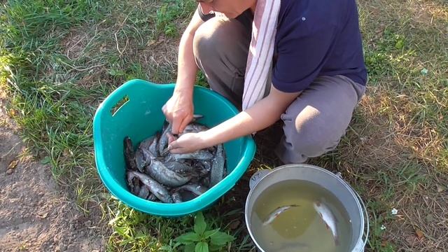 Визит на край географии. Готовим рыбу из речки Сож. Лето 2016. смотреть онлайн