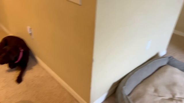 США Влог Будут блинчики Семейный Влог Большая семья Big family USA VLOG смотреть онлайн