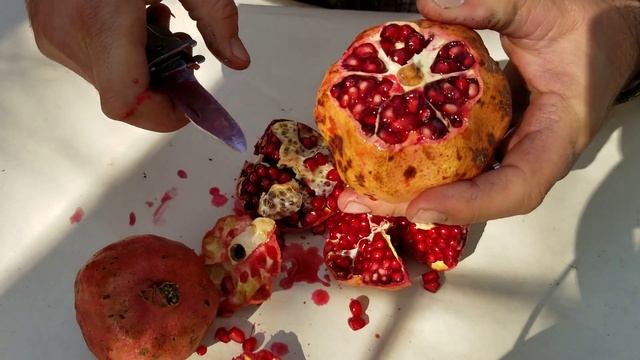 Как почистить Гранат. Сорт "сухарь"?????? смотреть онлайн
