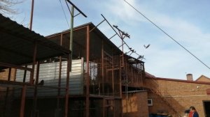 ?️? 5.ч. // ГОЛУБИ ? В ГОСТЯХ.У ВИКТОРА ЛЫСЕНКО ? Т+7 928 610-71-01?С. САНДАТА. РОСТОВСКАЯ ОБЛ