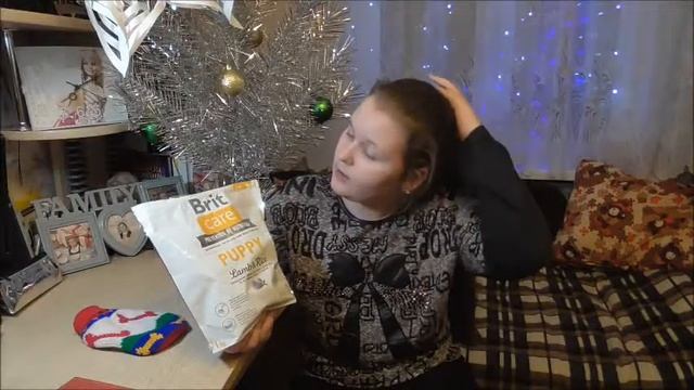 Мой самый лучший друг! Собачка породы чихуахуа и всё о ней!!! смотреть онлайн