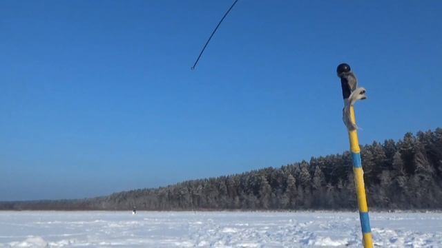 Вкусняшка окунёвая Хапнул !!! смотреть онлайн