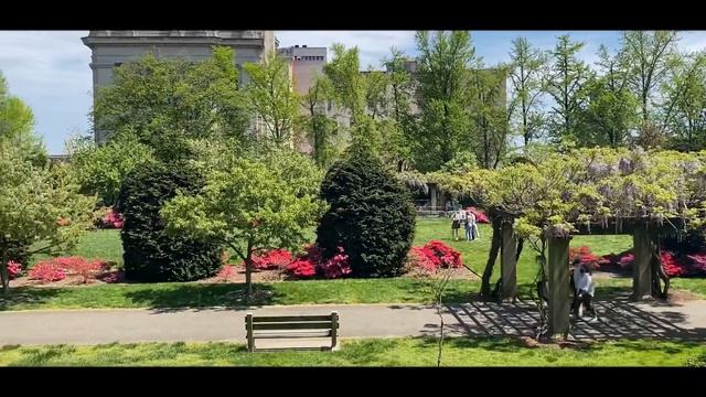 Нью-Йорк. Ботанический сад Нью-Йорка. смотреть онлайн