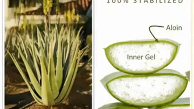 Aloe Barbadensis Miller смотреть онлайн