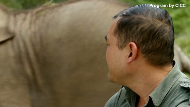 Discover China's most diverse province | Connections смотреть онлайн