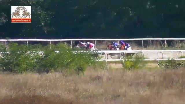 13.10.2023 - Приз в честь жеребца Померанца - Пандорра Терск смотреть онлайн