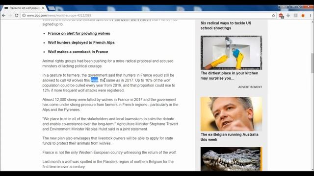 BBC NEWS; French Wolves; ОБЗОР на РУССКОМ