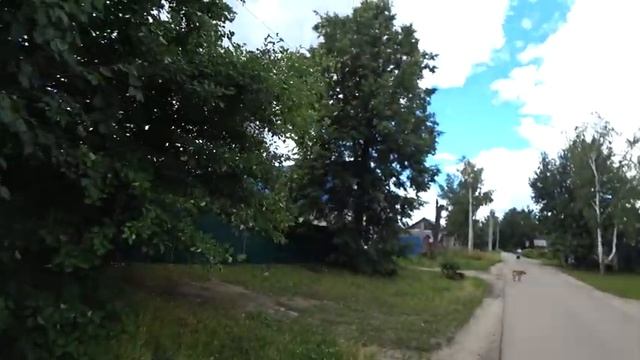 Сбор ягод вдоль дворов смотреть онлайн