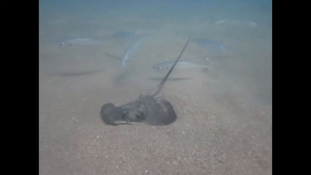 krym2015mh смотреть онлайн