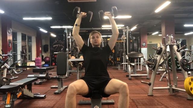Д3 Жим гантелей сидя 4*10 15кг смотреть онлайн