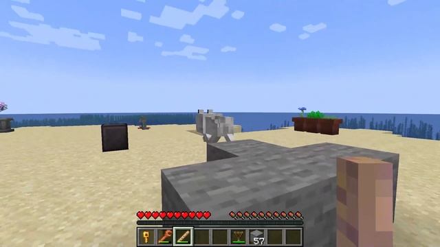 How to Install and Use The Supplementaries Mod in Minecraft смотреть онлайн