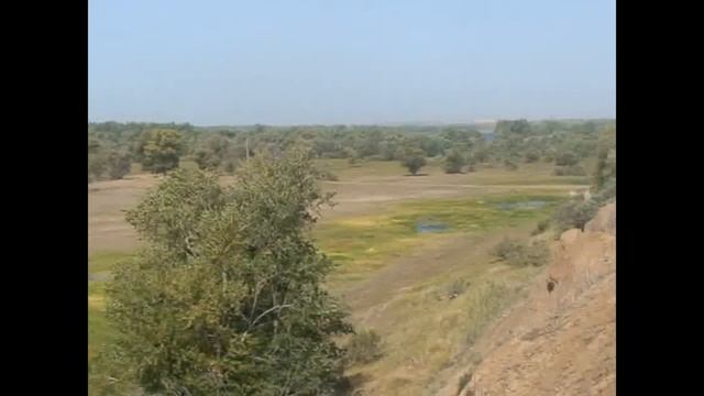 Выключи Телевизор. Гудим на 7ми струнных новгородских гуслях смотреть онлайн