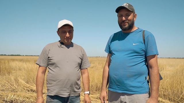 Уборка пшеницы (история поля)#notill смотреть онлайн