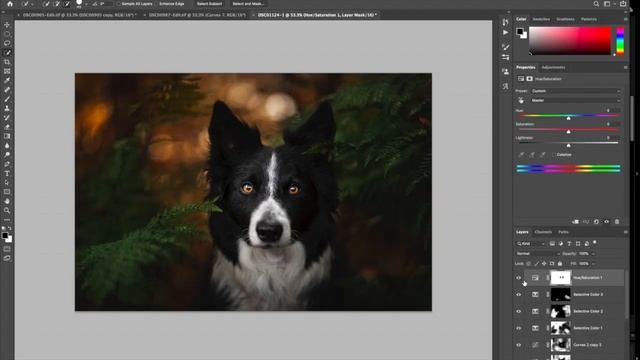 Editing Loki: Speedy Pet Portrait Using Lightroom And Photoshop