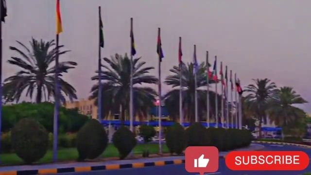 #Vlog1Dubai Sharjah free zone, UAE....... #dubai #uae смотреть онлайн
