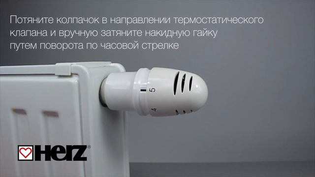 Mini D смотреть онлайн