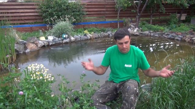 Открываю тайну Море цветов Устанавливаю скиммер смотреть онлайн