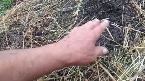Как сделать почву рыхлой