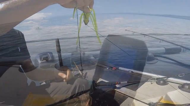 ПЕРВЫЕ СОМЫ В ИЮЛЕ. ЛОВЛЯ НА КВОК. ОСНАСТКА НА СОМА. смотреть онлайн