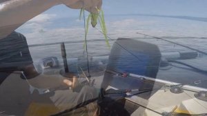 ПЕРВЫЕ СОМЫ В ИЮЛЕ. ЛОВЛЯ НА КВОК. ОСНАСТКА НА СОМА.