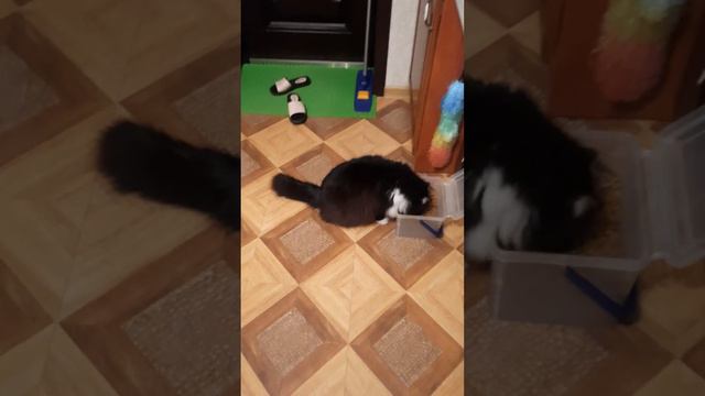 Доброе утро смотреть онлайн