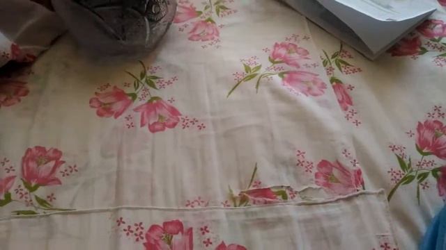 Котенок от фирмы рииолис 1й отчет смотреть онлайн
