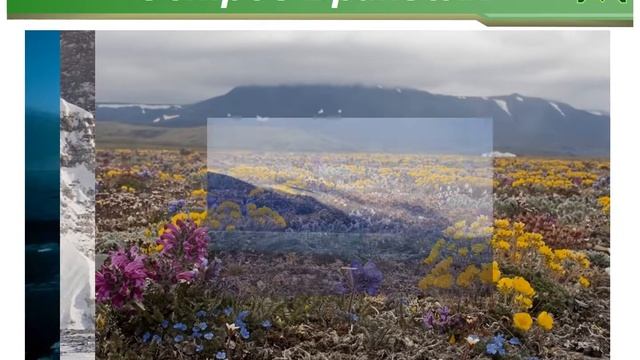 7 самых необычных заповедников России смотреть онлайн