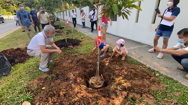 The OneMillionTrees Movement in Pasir Ris West by Vue 8 RN and Nparks смотреть онлайн