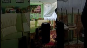 Видео от довольного покупателя ELTRONIC 20-83 Dance Box 1500