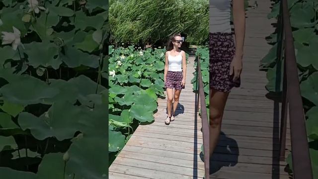 Усадьба Фамилия ?/клуб загородного отдыха, станица Пластуновская, Краснодарский край смотреть онлайн