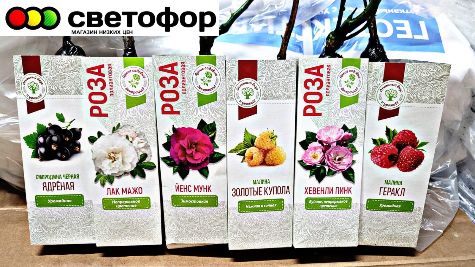 ?В СВЕТОФОР привезли САЖЕНЦЫ, грабли и другие НОВИНКИ март 2023 смотреть онлайн