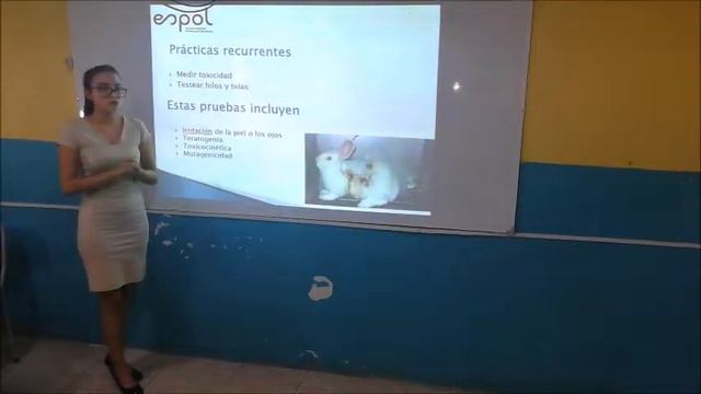 Presentacion de proyecto Shirley Morán смотреть онлайн