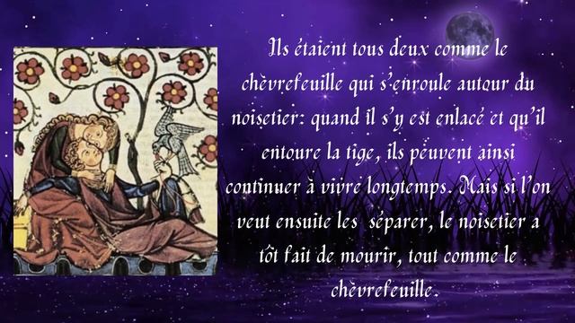 LANGAGE DES FLEURS: le chèvrefeuille смотреть онлайн