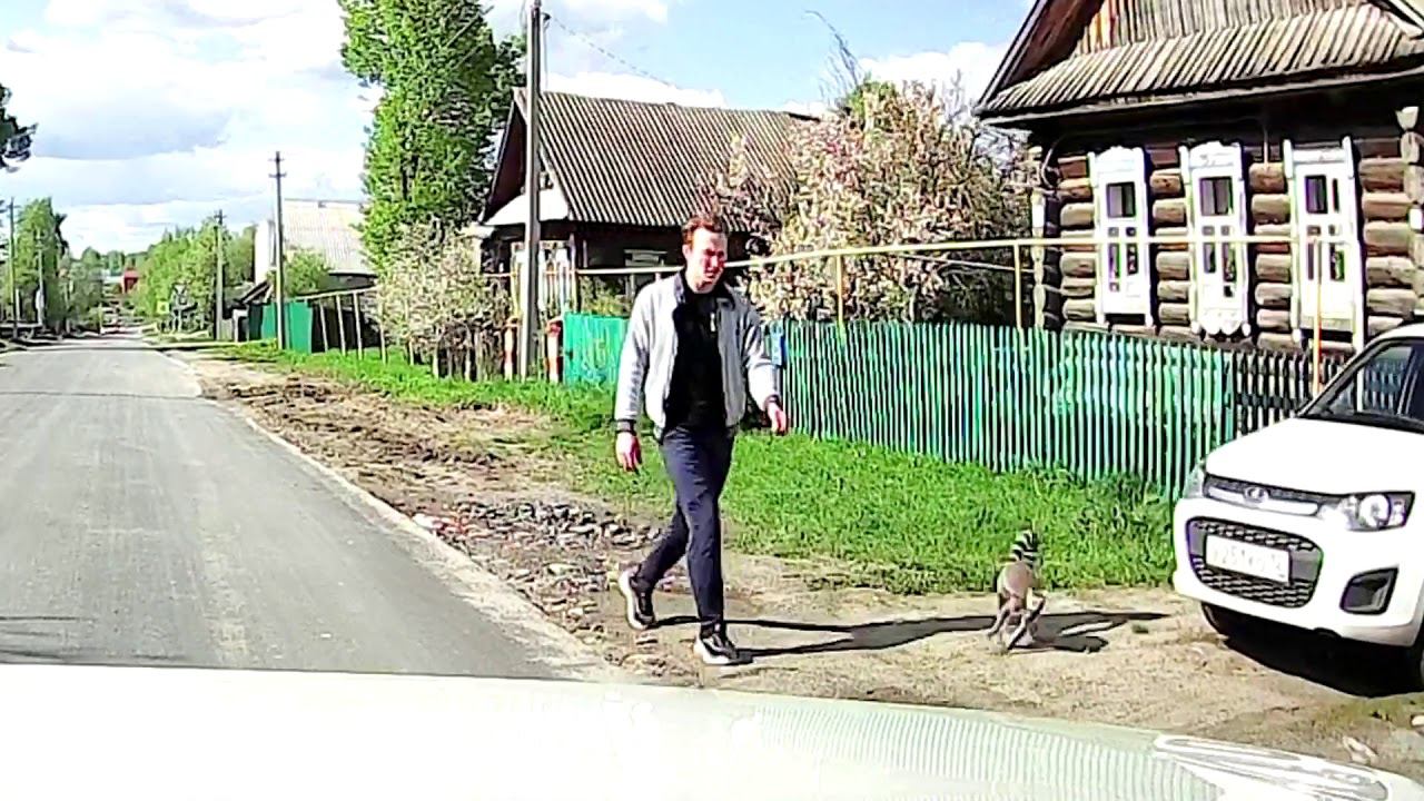 Едешь по деревне, а на встречу ЛЕМУР ! смотреть онлайн