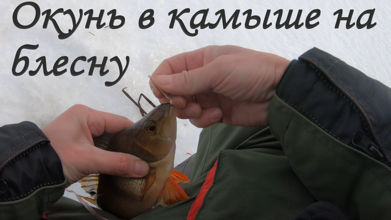 Как ловить окуня в камыше на зимнюю блесну. Зимняя блесна саукка 30 мм. смотреть онлайн