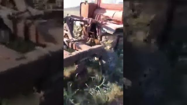 Дт-175М Волгарь с активным плугом. смотреть онлайн