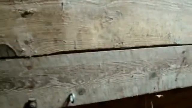 Отчёт по заболевшей курице, небольшой обзор курятника смотреть онлайн