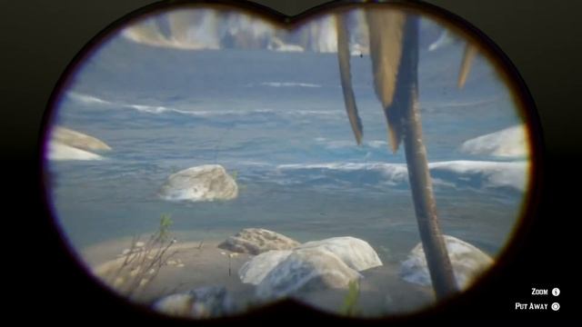 Red Dead Redemption 2 How To Study And Pluck Red-Footed Booby смотреть онлайн