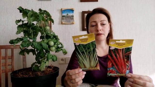 Обзор салатов. Как вырастить правильную зелень. смотреть онлайн