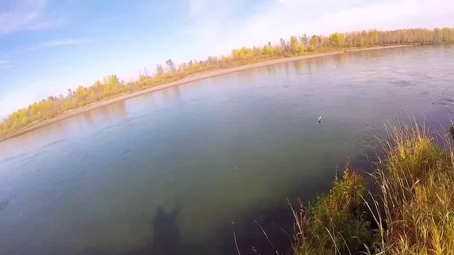 ЭТО ПОСЛЕДНЯЯ РЫБАЛКА В ЕГО ЖИЗНИ !? ЧП!!! Ловля на ХИЩНЫЙ ПОПЛАВОК осенью СИБИРИЯ смотреть онлайн