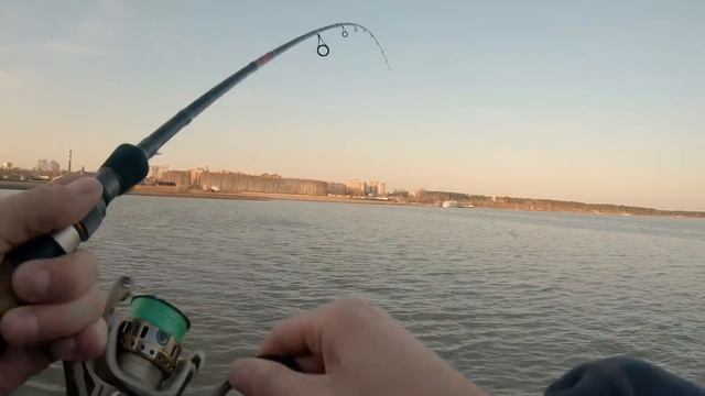 Судак весной на джиг. Ловля судака с берега | #порыбачим смотреть онлайн